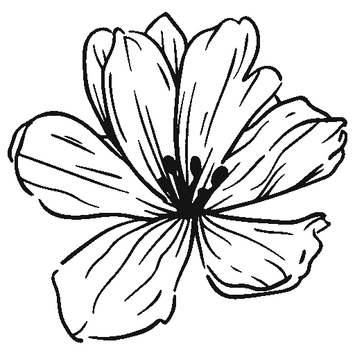 cropped-applogo.png